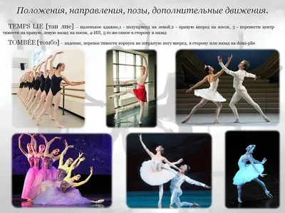Плакат с знаниями о балете, позиции в балете и движения, Танцевальная  студия, студия балета, искусство на стене, холст, уникальный подарок |  AliExpress