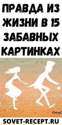 Правда из жизни в 15 забавных картинках | Забавные картинки, Забавности,  Картинки