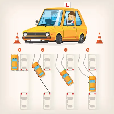 Правила проезда перекрестков в картинках • Обучение вождению автомобиля
