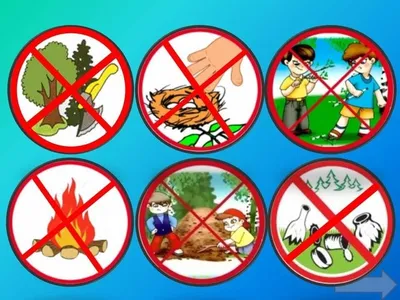 Буклет по экологии «Правила поведения в лесу» (2 фото). Воспитателям  детских садов, школьным учителям и педагогам - Маам.ру