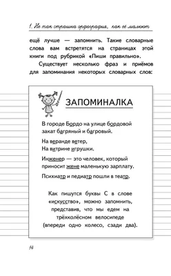 Все правила русского языка в схемах и таблицах - Vilki Books