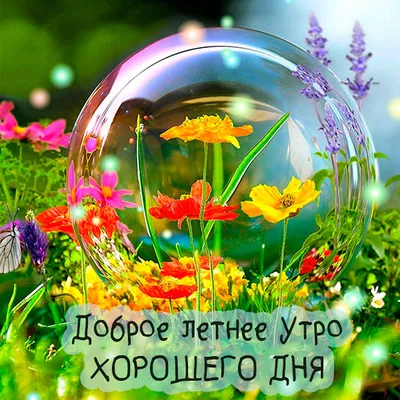 Яркая картинка: \"Доброе утро!\" С пожеланием в стихах, бабочками и цветами •  Аудио от Путина, голосовые, музыкальные
