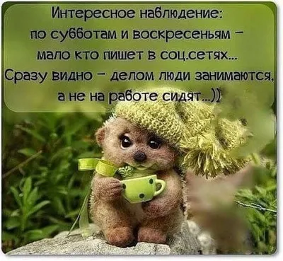 Руслан Дудников: Доброго субботнего дня и прекрасного настроения! - Лента  новостей ДНР