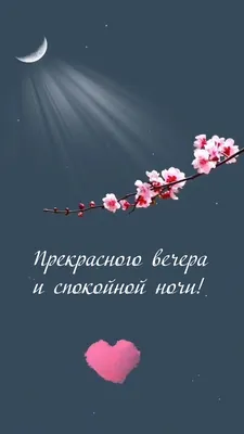 Чудесного вечера, хорошего отдыха, прекрасного ... - ПРИВЕТСТВИЯ и  ПОЖЕЛАНИЯ, открытки на каждый день., №2577432614 | Фотострана – cайт  знакомств, развлечений и игр