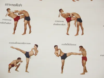 Приемы тайского бокса в картинках фотографии