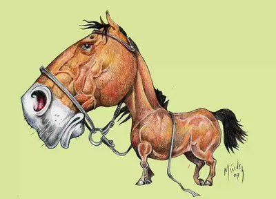 Рисунки прикольных лошадей - 76 фото