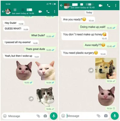 WhatsApp стикеры. Прикольные животные – скачать приложение для Android –  Каталог RuStore