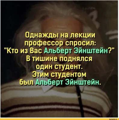 Денег нет? Держаться здесь пробовали? Не помогло? Тогда идите в бизнес. |  Пикабу