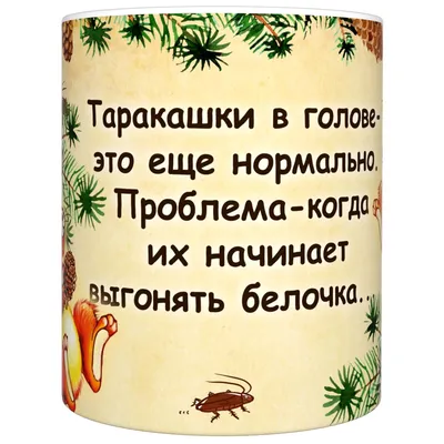 Кружка \"прикол \"Белочка\"\", 330 мл, 1 шт - купить по доступным ценам в  интернет-магазине OZON (182760067)