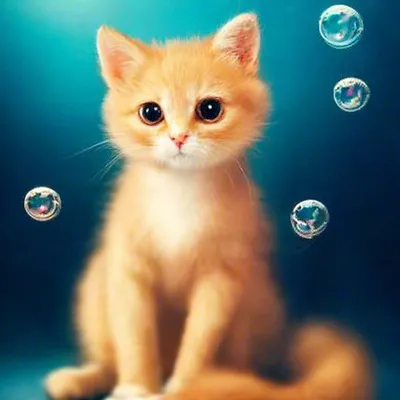 Рыжий кот,кошка с мышкой, игрушка кошка, игрушка вязаная кошка, рыжик в  интернет-магазине Ярмарка Мастеров по цене 2000 ₽ – UBBEKRU | Прикольные  подарки, Находка - доставка по России
