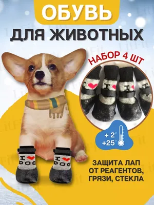 Купить Копилка \"Собака Бетховен\", белый, чёрный цвет, 33 см в Новосибирске,  цена, недорого - интернет магазин Подарок Плюс