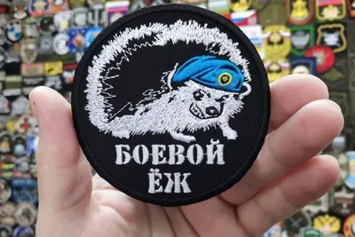 Смешные картинки с надписью от Урал за 02.09.2019 08:23 на Fishki.net