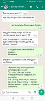 Приколы WhatsApp | Facebook