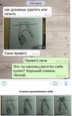 whatsapp / смешные картинки и другие приколы: комиксы, гиф анимация, видео,  лучший интеллектуальный юмор.