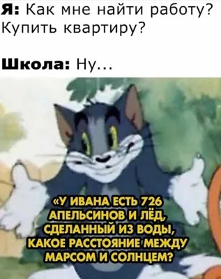 Что ты делаешь в свободное время? ••г* В какое? ''' Ну в свободное Это  какое? Когда не за / грустный кот :: смешные картинки (фото приколы) ::  котэ (прикольные картинки с кошками) /