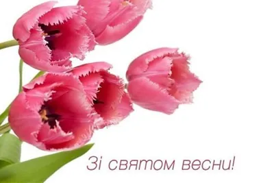 Открытка \"Поздравляю с 8 марта\" | Прикольные открытки | Подарки.ру