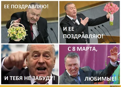 С 8 марта мем С 8 марта С 8 марта от Путина | Праздник, Смешные  поздравительные открытки, Смешные валентинки