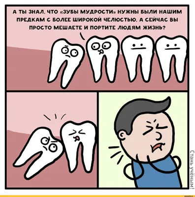 Мемы - почему стоматологов боюсь я | Facebook