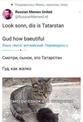 Приколы про татар картинки фотографии