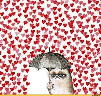 Приколы Юмор - Хороший подарок на День Святого Валентина. Отправляйте  друзьям и подругам идею для подарка и не забывайте подписаться  @humor.prikoli #прикол #приколдня #деньсвятоговалентина #14февраля #юмор  #подарок #смешно #юмордня | Facebook