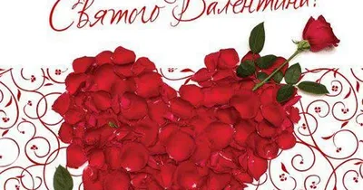 Кружка \"надписи приколы 14 февраля день святого валентина люблю тебя каждый  день - 9502\", 330 мл - купить по доступным ценам в интернет-магазине OZON  (519109813)