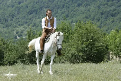 Мечта девушки, принц на белом коне…» — создано в Шедевруме