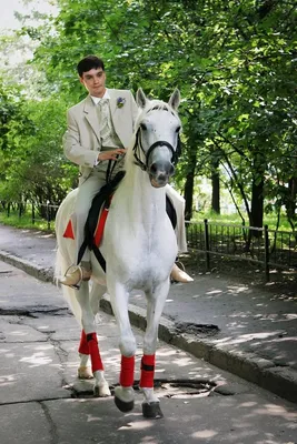 Принц на белом коне. Сказка (Василий Бабушкин-Сибиряк) / Проза.ру