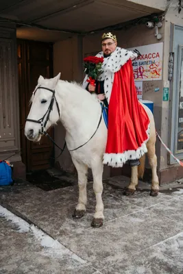 Принц на коне картинки фотографии