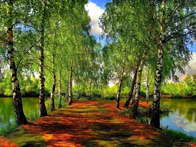 Красота природы России... - Российская земля | Facebook