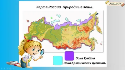 Calaméo - Природные зоны России