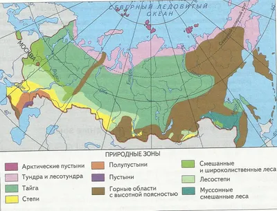 Карты-пазлы - Карта-пазл \"Природные зоны России\" купить по низкой цене.