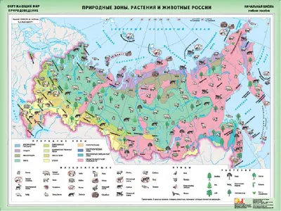 Природные зоны России | Удоба - бесплатный конструктор образовательных  ресурсов