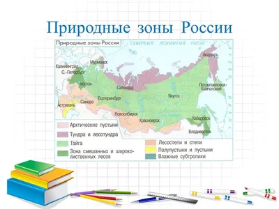 Диаграмма: Окружающий мир, Природные зоны России, 4 класс | Quizlet