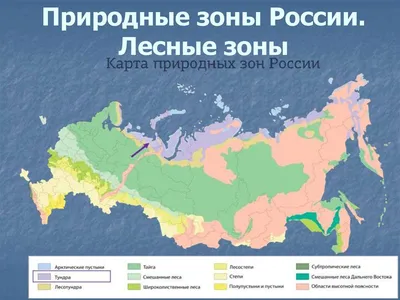 Карта Природные зоны России для 6 класса. Фото. Цена. Купить.