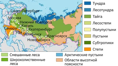 Природные зоны России | Удоба - бесплатный конструктор образовательных  ресурсов