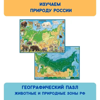 Повторяем природные зоны России и обитателей материков. Тест: сможете  набрать 12/12 - и пятерка обеспечена | Заметки мамы-училки | Дзен