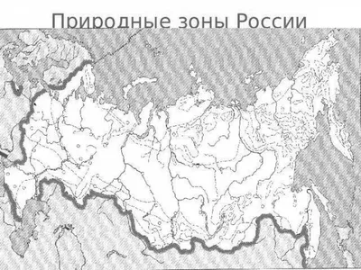 Презентация \"Природные зоны России\"