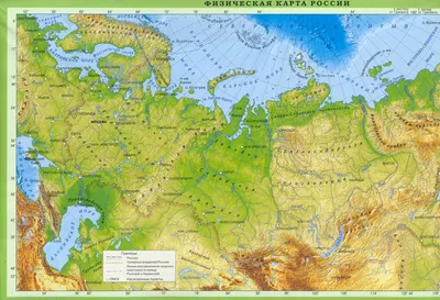 Природные зоны России. Биология 5 класс - YouTube