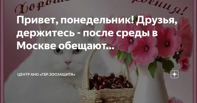 Вы готовы? А вот он я - ПоНедельник! НеНастоящий! | Марина Ника. Возможно  Все ! | Дзен