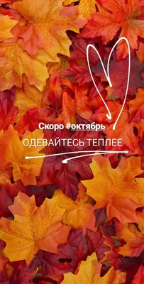 Привет, сентябрь. Осень. | Осень, Счастливые картинки, Привет сентябрь