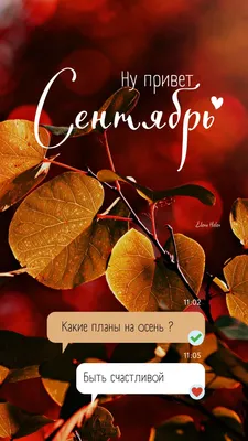 Konstantinos Argiros Russian Fan Club - Привет, Сентябрь! Добро пожаловать,  осень!/Hello September! Welcome autumn! ☔️🍂🍁🍄 Καλό μήνα σε όλους! #hello  #september2019 #привет #сентябрь2019 #autumn #осень #argiros | Facebook