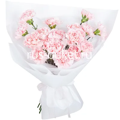 Букет цветов «Мой привет» заказать с доставкой по цене 1 810 руб. в  Ставрополе