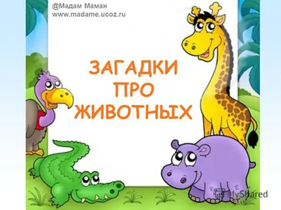 Рабочая тетрадь уроки грамоты для детей 4+ ОТ РОЖДЕНИЯ ДО ШКОЛЫ 114012731  купить за 158 ₽ в интернет-магазине Wildberries