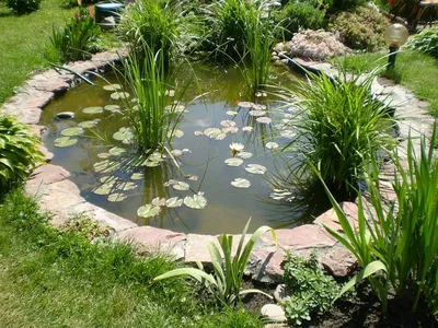 Озерцо, пруд в приусадебном саду и на даче!