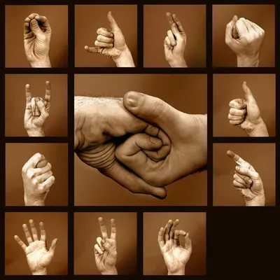 Психология жестов рук в картинках фотографии