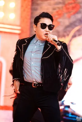 Why Psy's 'Gangnam Style' Is a Hit With Listeners Who've Never Heard of  K-pop