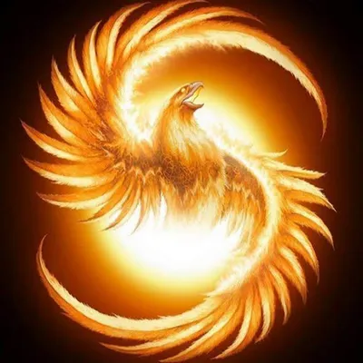 Феникс: мифология и история огненной птицы | Обратная сторона  Истории|Легенды | Дзен