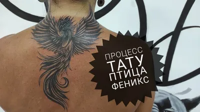 Тату в Чебоксарах - Tattoo Zamess | Tat Too be