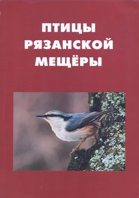 Птицы - Красная книга Рязанской области