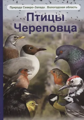 Птицы Тихоокеанского Северо-Запада: Полевой справочник лесопромышленного  пресса Ловля рыбы на летних стальноголовых, Птица, животные, фауна, сова  png | PNGWing